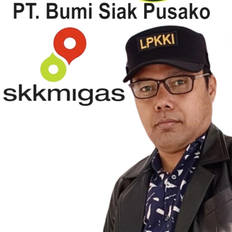 Ada Kerugian Keuangan Negara Dan Tidak Profesional, LP-KKI Minta PT BSP di Investigasi