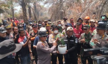 Pemkab Pelalawan Intensifkan Penanganan Karhutla, Bupati Zukri Lakukan Monitoring Udara